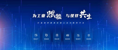 工業(yè)互聯(lián)網(wǎng)的網(wǎng)絡軟件構(gòu)建之道 企業(yè)實施路徑與關(guān)鍵策略