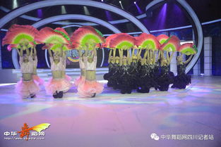 舞韻綻芳華，星光啟航藝術(shù)培訓(xùn)學(xué)校攜《陌上花開》亮相四川廣播電視臺(tái)超級(jí)新秀場