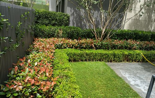春暖花開，園藏萬象——融創(chuàng)時(shí)代奧城園林綠化景觀深度解讀